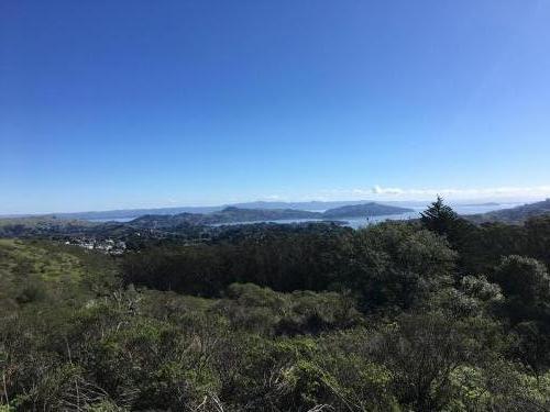 Marin pano